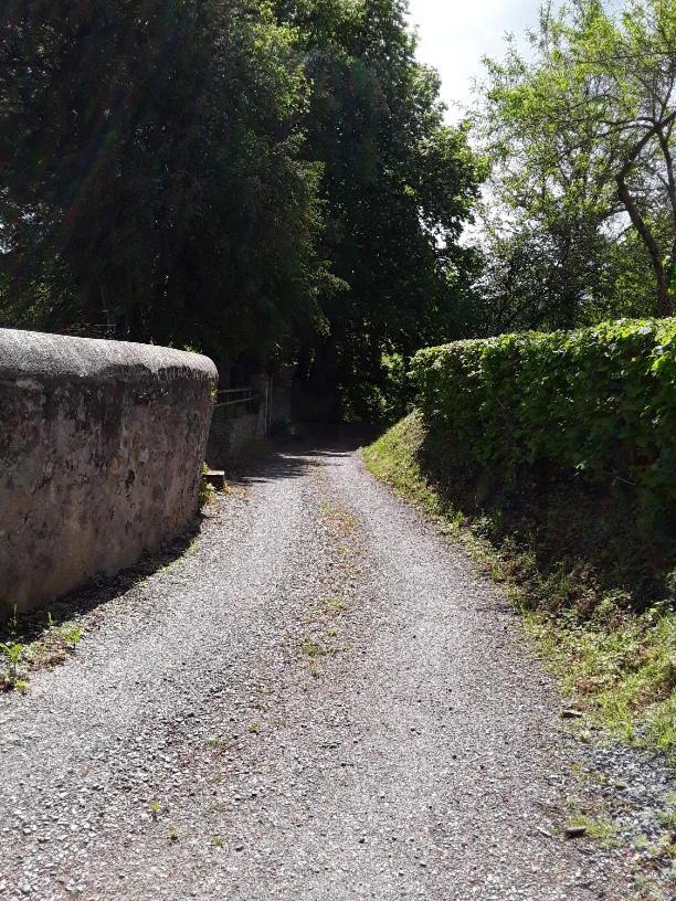La Petite Bardouillere Villa Courdemanche  Eksteriør bilde