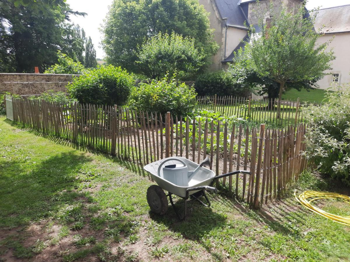 La Petite Bardouillere Villa Courdemanche  Eksteriør bilde